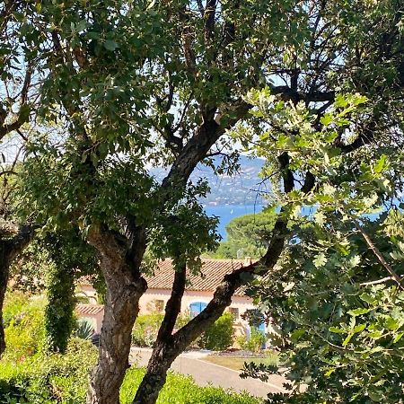 Villa Vue Mer Donnant Sur Le Golfe De St Tropez, 2 Chambres, 6 Pers, Piscine Commune Saint-Tropez Eksteriør billede